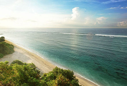 �T�}�x �o�� �X�C�[�g & ���B���̉摜4