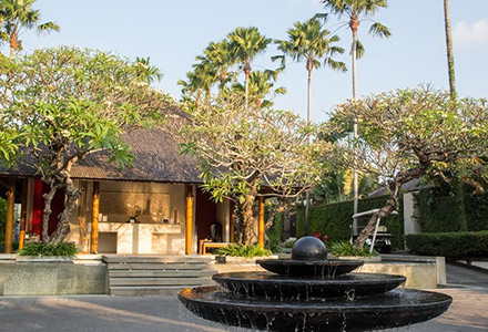 ���B�� �A�C�� �o���̉摜1