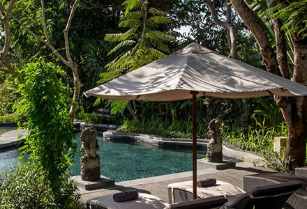 ���B�� �A�C�� �o���̉摜3