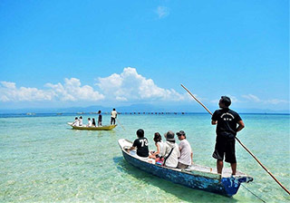 *�����{���K����DE�}���O���[�u���V���m�[�P�����O�@���Ώ۔N��4�ˁ`74�˂̉摜1