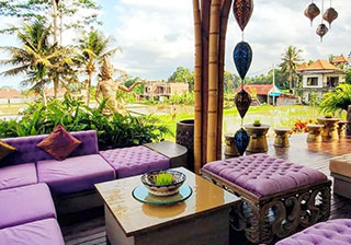 �o�����l�C�̐V���� �t�H�g�W�F�j�b�N�c�A�[�I�󒆃u�����R�u�o�� �X�E�B���O�v+�w���V�[�����`�{�E�u�h�U��̉摜3