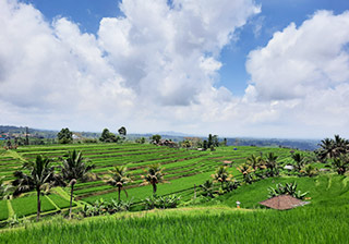 �y�ݐ؁z*�_�X�̓��o�������E��Y������@�����҂̉摜1