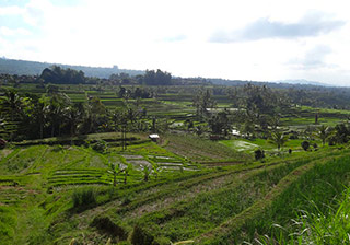 �y�ݐ؁z*�_�X�̓��o�������E��Y������@�����҂̉摜3