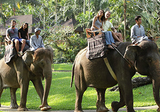 *�G���t�@���g�T�t�@�����C�h�i�ۂɏ��܂��j���Ώ۔N�� 1�ˁ`75�˂̉摜2