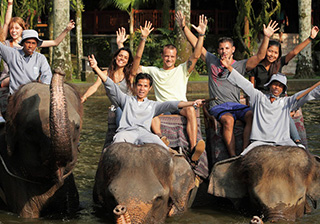 *�G���t�@���g�T�t�@�����C�h�i�ۂɏ��܂��j���Ώ۔N�� 1�ˁ`75�˂̉摜3