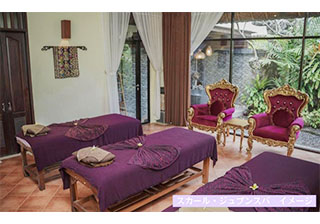 �y�X�J�[���E�W���v���E�X�p �܂��� �X�J�[���E�N���e�B�E�X�p�z�p���_�C�X�E�n�[�t���f�B�e�[�V�����̉摜1