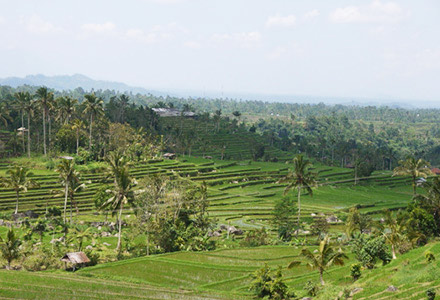 2���ڂɑI�ׂ�o�������E��Y�t�I�o�������E��Y������v�����I�̉摜3