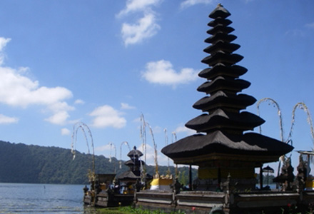 2���ڂɑI�ׂ�o�������E��Y�t�I�o�������E��Y������v�����I�̉摜4