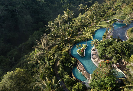 2�̎�̈Ⴄ�z�e���ɏh�����ăo�����𖞋i�I�E�u�h���r�[�`�̉摜3