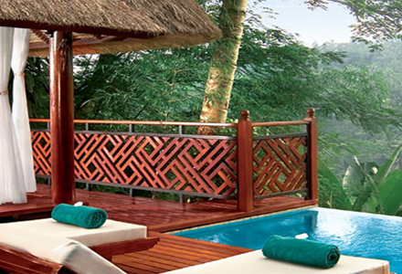 2�̎�̈Ⴄ�z�e���ɏh�����ăo�����𖞋i�I�E�u�h���r�[�`�̉摜4