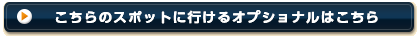 ������̃X�|�b�g�ɍs����I�v�V���i���͂�����