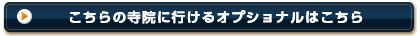 ������̎��@�ɍs����I�v�V���i���͂�����