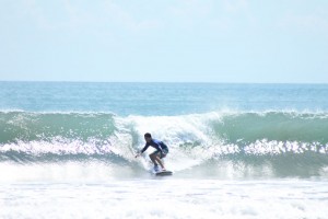 IMG_6601