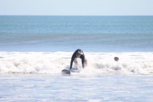 IMG_7210
