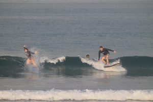 IMG_8654